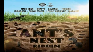 ants nest riddim dancehall mix 2023 davianah shawn storm tishaine vandalise and more 