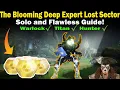 Destiny 2 The Blooming Deep EXPERT Lost Sector Guide Solo and Flawless Loadouts Strategies