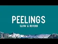 Peelings (Slow & Reverb) | Pushpa 2 The Rule | Javed Ali | Madhubanti Bagchi | Music Suno