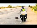 Download Lagu Kayuhan Panas (44'c) Di Navoi, Uzbekistan - Anjing Nak Ikut Travel.