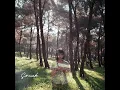 Çocuk - No Land