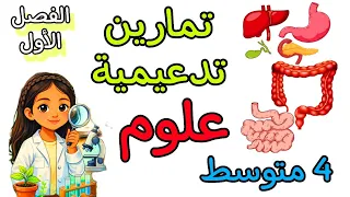 تمارين تدعيمية في مادة العلوم رابعة متوسط الفصل الأول مع نموذج جاهز للطباعة