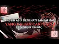 DJ NOVIN ASIA SATU HATI SAMPAI MATI YANG KALIAN CARI - CARI โผ๏ธ ( SPEEDUP \u0026 REVERB )