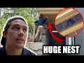 How I Made 996 in One Day as a Pest Control Technician