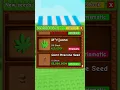 Download Lagu 🌲POV: NEW Giant Pinecone Seed in Stock #growagarden