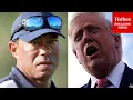 BREAKING NEWS Trump Publicly Responds To Tiger Woods Crash And Arrest
