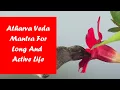 Download Lagu Atharva Veda Mantra For Long And Active Life | Vedadhara