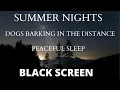 Download Lagu SUMMER NIGHTS. DOGS BARKING IN THE DISTANCE. HD SOUND! 2021