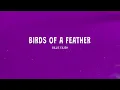 Billie Eilish - BIRDS OF A FEATHER (Lyrics)
