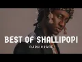Download Lagu DJ DARH KRANE BEST OF SHALLIPOPI MIXX VOL.1 🔥 VIDEO MIX #shallipopi #afrobeats #shakespopi #pluto