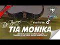 Download Lagu Dj Bantengan Viral Tik Tok - TIA MONIKA ( Satrio Teja Arum ) Velocity Gayeng