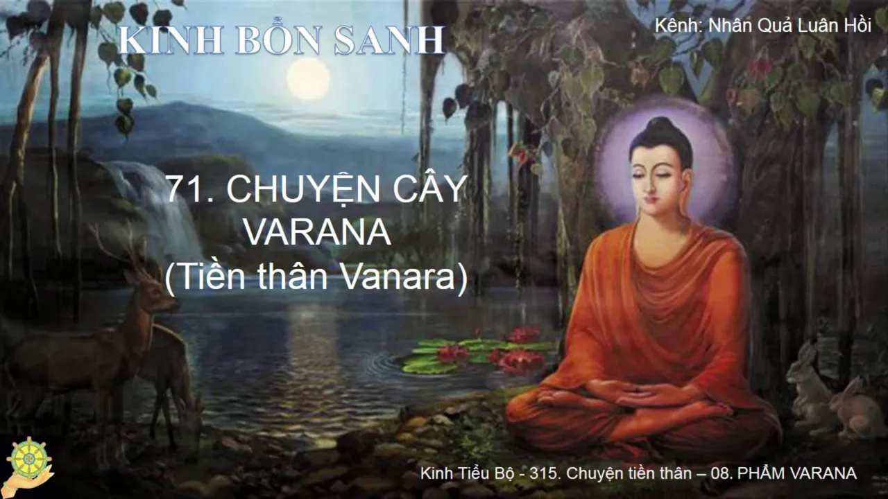 71 Truyện CÂY VARANA Tiền thân Vanara K.Bổn Sanh, Bổn Sự 