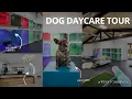 Winston Bay Co Petite Paws Resort Dog Daycare Boarding Facility Tour