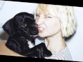 Download Lagu Sia - Wild Ones (Solo Version - without Flo Rida)