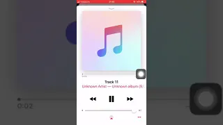 letlotlo st mary immaculate young adult