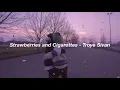 strawberries and cigarettes - troye sivan - slowed down