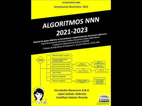 Download MP3 ALGORITMOS NNN 2021-2023: INSTRUCCIONES PARA UTILIZAR TAXONOMÍAS DE ENFERMERÍA. DESCARGA PDF GRATIS