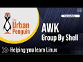 Master AWK Group Users by Shell in Linux Like a Pro