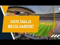How Tall is Bryce Harper - Sports Scouters