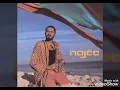 Download Lagu Najee - For The Love Of You