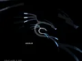 hackers fav linux distro