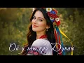 Ой у гаю при Дунаю