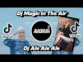 Download Lagu Dj Santuy Ale Ale x Sape Dayak Slow  Dj Magic In The Air TikTok Remix Terbaru 2021 Nanda Remixer