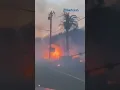Download Lagu Marak Penjarahan di Los Angeles Sejak Terjadi Kebakaran❗