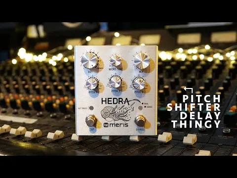 Meris Hedra Stereo Rhythmical Pitch-Shifter | Delicious Audio