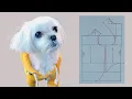 Dog clothes pattern basic drawing