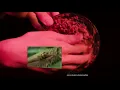 2021 Unfolding Intelligence Symposium Open Systems