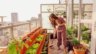 How to Grow a THRIVING Food Garden!
