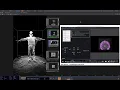 Download Lagu Multiple Attractors - Field POP and GLSL POP