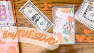 Tiny Tuesday