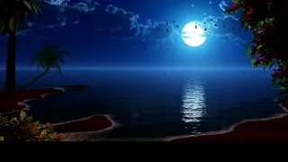 أنشودة الفكر ياإنسان  ناصر السعيد    دندنها