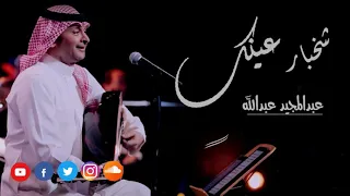 شخبار عينك عبدالمجيد عبدالله دندنها