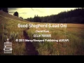 GOOD SHEPHERD (LEAD ON) [Official Lyric Video] | Vineyard Worship feat. David Ruis