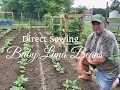 How To Grow Beans ADVANCED Complete Growing Guide - Baby Lima Beans