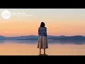 PS1 - Life Goes On (Lyrics) feat. Alex Hosking