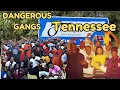 Inside the Deadliest Gangs of Tennessee Crips Bloods Vice Lords and More