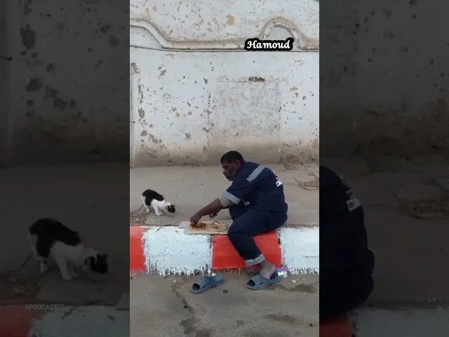 ⁣انطي مكانك الغيرگ وروح فيديو حزين 😢♥️ #احمد_الوائلي