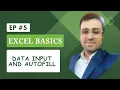Ep 5 Excel Basics Mastering Data Input and Auto Fill