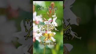 حالات واتس سورة الحشر اية 23 الشبخ سيد متولي 