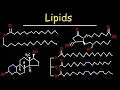 Lipids - Fatty Acids Triglycerides Phospholipids Terpenes Waxes Eicosanoids