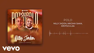 nilly jaden polo visualizer ft mkoma saan dripsoul sa