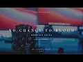 Download Lagu Modern Guns - No Chance To Bloom (Guitar Cover)