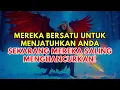 Download Lagu JIWA TERPILIH ✨ MEREKA BERTENGKAR KARENA ANDA 😅 SEMESTA TAK AKAN BIARKAN MEREKA MENYENTUH ANDA 😡