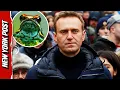 Lagu Alexi Navalny Fatally Poisoned With Toxin From an Ecuadorian Dart Frog