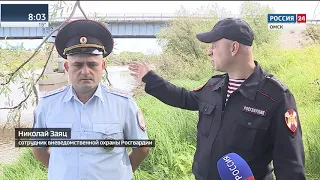 Погоня за эффектным кадром едва не закончилась трагедией