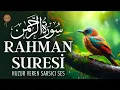 Download Lagu Rahman Suresi | Kalbe Dokunan Çok Rahatlatıcı Ses
